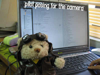pilot pose