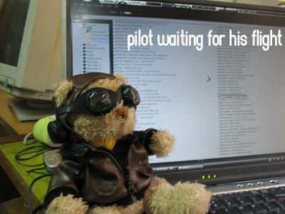 pilot awaiting